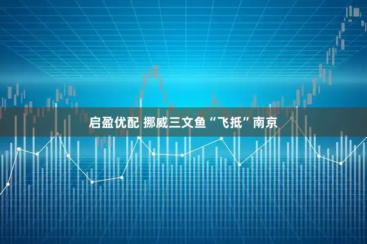 启盈优配 挪威三文鱼“飞抵”南京