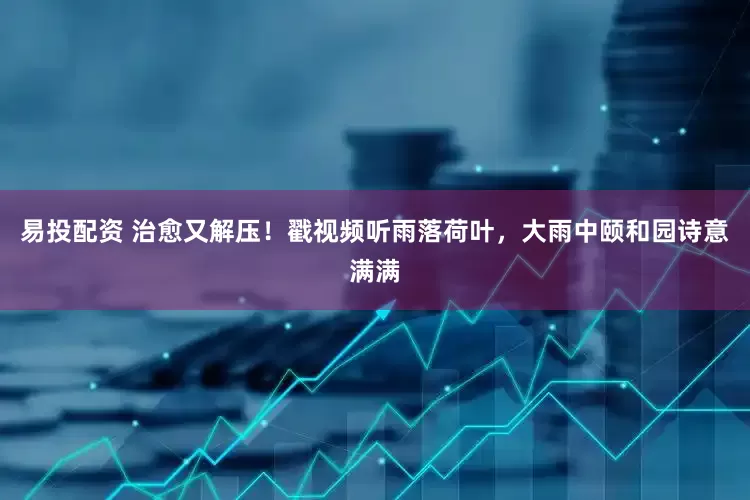 易投配资 治愈又解压！戳视频听雨落荷叶，大雨中颐和园诗意满满