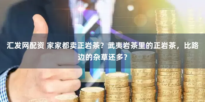 汇发网配资 家家都卖正岩茶？武夷岩茶里的正岩茶，比路边的杂草还多？