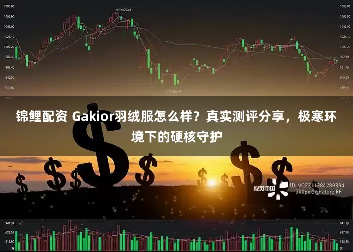 锦鲤配资 Gakior羽绒服怎么样？真实测评分享，极寒环境下的硬核守护